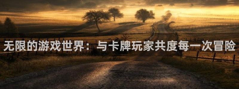 百游乐玩官网：无限的游戏世界：与卡牌玩家共度每一次冒险