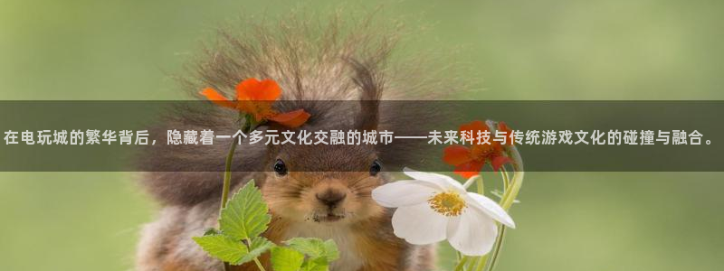 乐玩app是干什么的