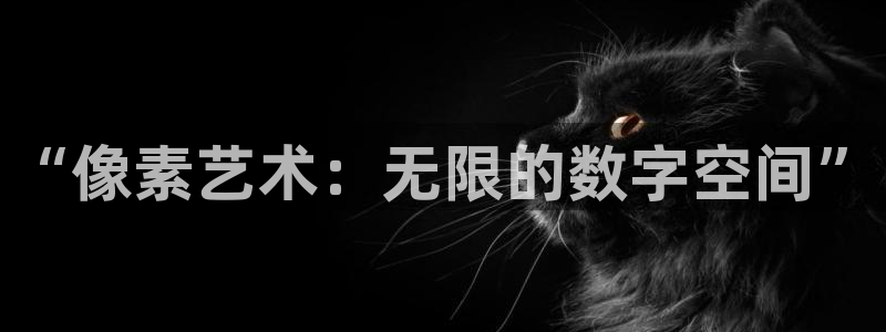 乐玩模块密码：“像素艺术：无限的数字空间”