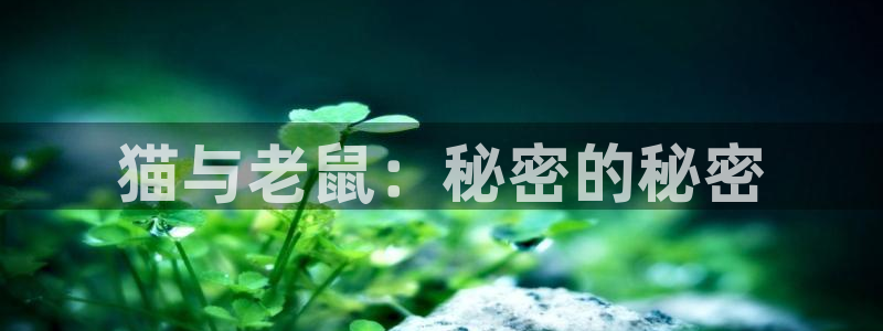 乐玩软件：猫与老鼠：秘密的秘密