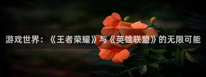 乐玩平台是做什么的啊