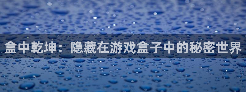 乐玩官网入口下载苹果版：盒中乾坤：隐藏在游戏盒子中的秘密世界